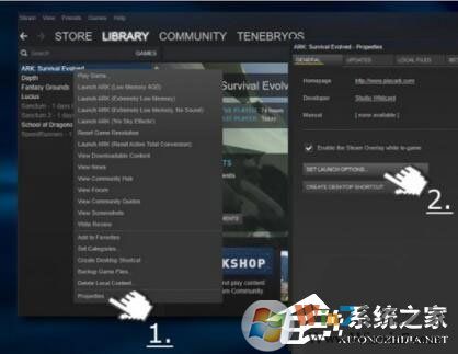 Win10玩生存進(jìn)化報(bào)錯(cuò)“視頻驅(qū)動(dòng)程序崩潰并被重置”怎么解決？