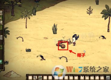 饑荒海灘中椰子怎么打開(kāi)？饑荒怎么打開(kāi)椰子？