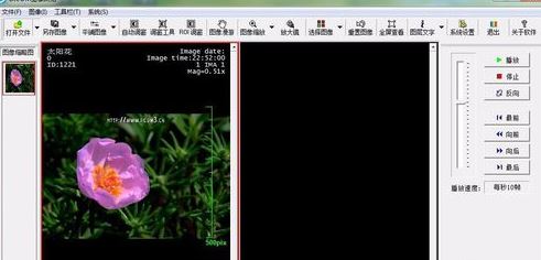 dcm文件怎么打開？分享.dcm格式如何打開！