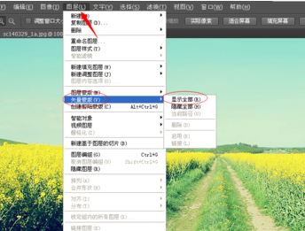 ps矢量蒙版怎么用？ps矢量蒙版詳細(xì)使用方法