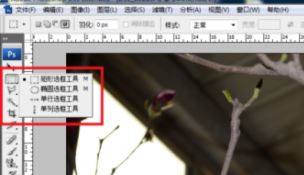 ps局部放大怎么調(diào)？PS放大局部位置的操作方法（含快捷鍵）