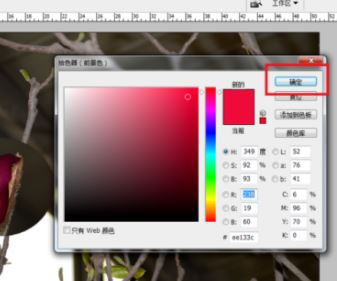 ps局部放大怎么調(diào)？PS放大局部位置的操作方法（含快捷鍵）