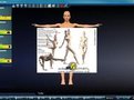 MakeHuman下載_MakeHuman(3D人體模型軟件)v1.02 漢化開源免費(fèi)版