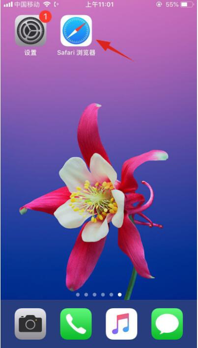 蘋(píng)果手機(jī)ID密碼忘記怎么辦？Apple ID密碼找回方法