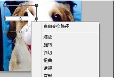 PS旋轉(zhuǎn)圖片,PS怎么旋轉(zhuǎn)圖片、圖層？