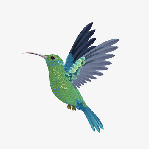 飛鳥(niǎo)下載_全能下載軟件飛鳥(niǎo)官方安裝版 V3.0