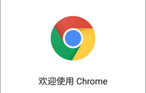 谷歌手機(jī)瀏覽器下載_Chrome瀏覽器手機(jī)版_谷歌瀏覽器手機(jī)版/安卓版/最新版官方版大全