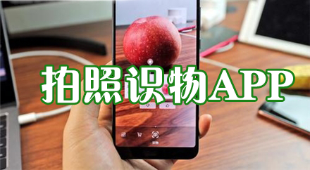 拍照識物APP下載大全_拍照識萬物_識萬物掃一掃_(dá)拍圖識物軟件合集