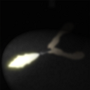 細菌邊緣中文版