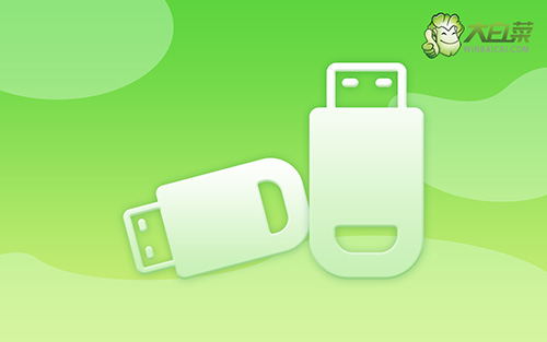 大白菜WIN7pe啟動(dòng)鏡像iso下載安裝|WIN7pe旗艦純凈版(x64)v2024