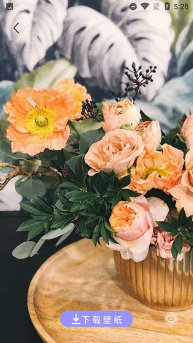 手機(jī)壁紙大師最新版