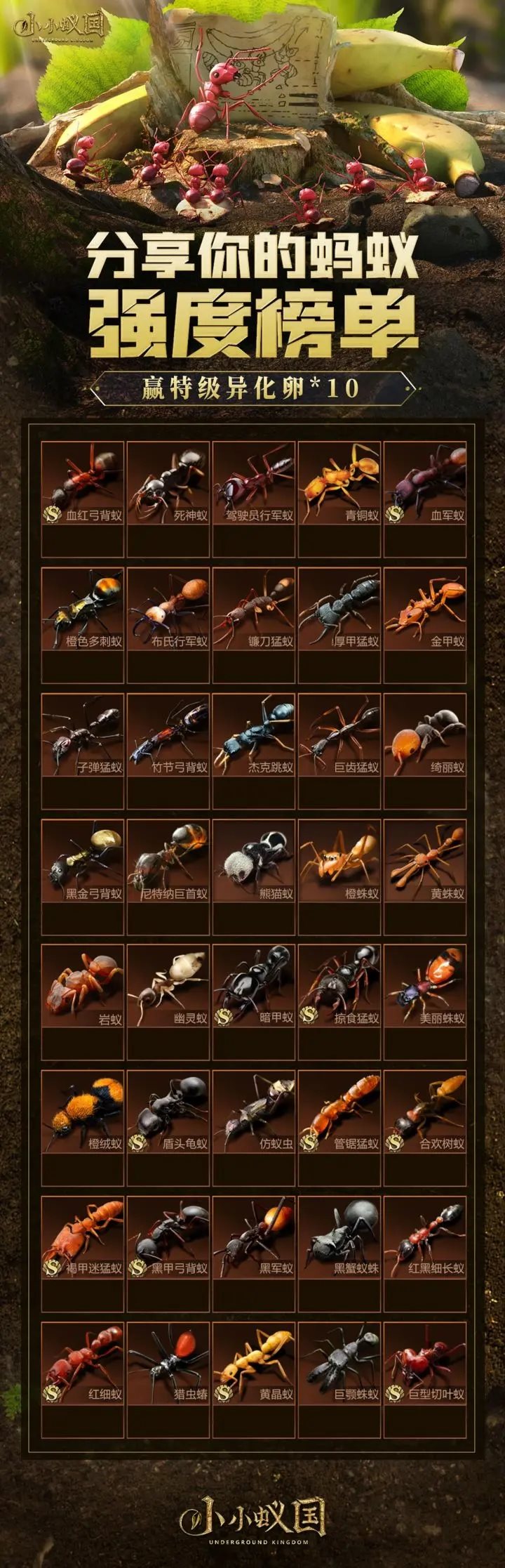 小小蟻國(guó)（附兌換碼+教程）