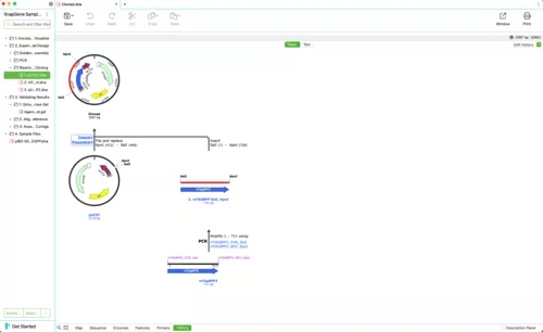 SnapGene漢語(yǔ)版