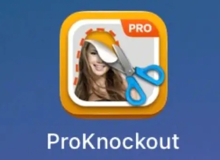 Proknockout下載-Proknockout中文版/最新版/手機版/升級版