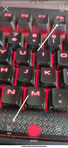 羞兔動態(tài)壁紙安卓版