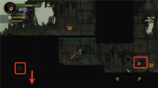 神鴨守衛(wèi)國際版