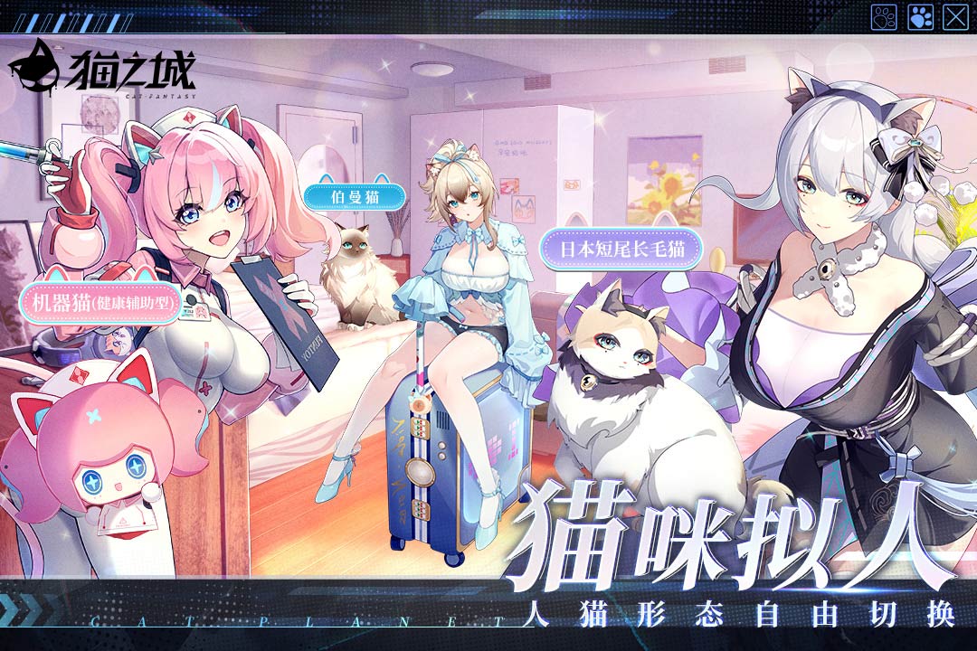 貓之城B服正版