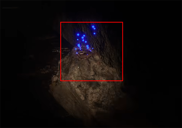 白色情人節(jié)2謊言之花電腦版