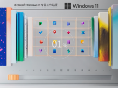 Windows11 22H2 64位 專業(yè)工作站版 | Win11設(shè)計師專用版