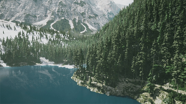 模擬美景攝影(Lushfoil Photography Sim) v0711電腦版