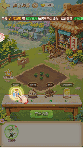 我的花園世界游戲