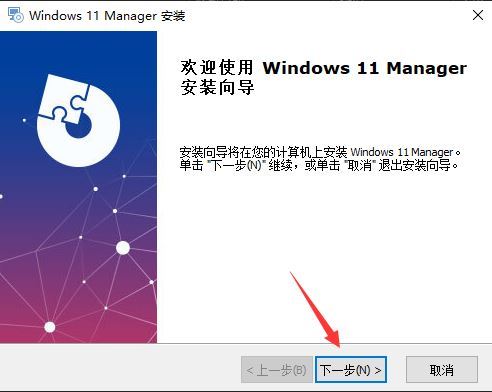 Windows 11 Manager