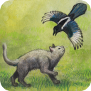 米洛和喜鵲官方版