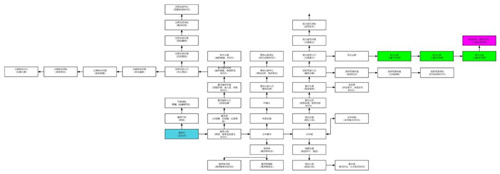 星元大陸國際服