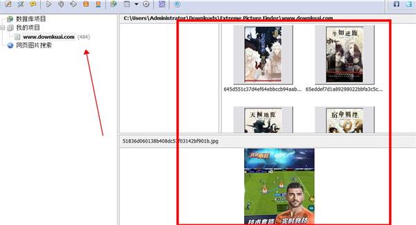 Extreme Picture Finder(網(wǎng)絡(luò)圖片批量下載工具)