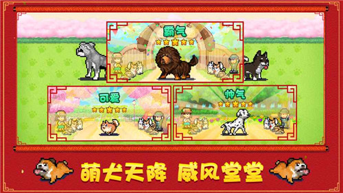 發(fā)現(xiàn)狗狗樂園