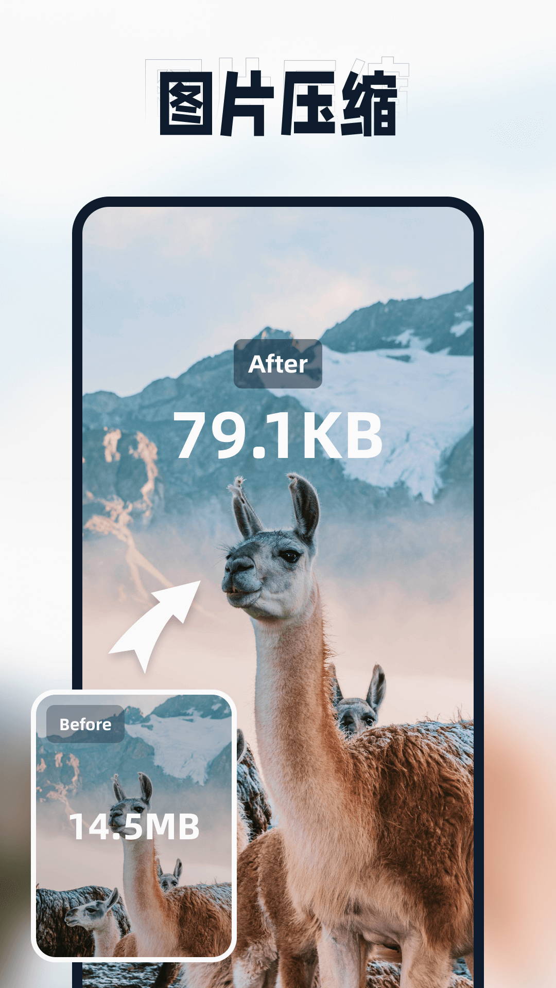 迅捷壓縮(視頻圖片PDF壓縮)