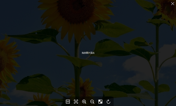 菠蘿看圖(Pineapple Pictures)