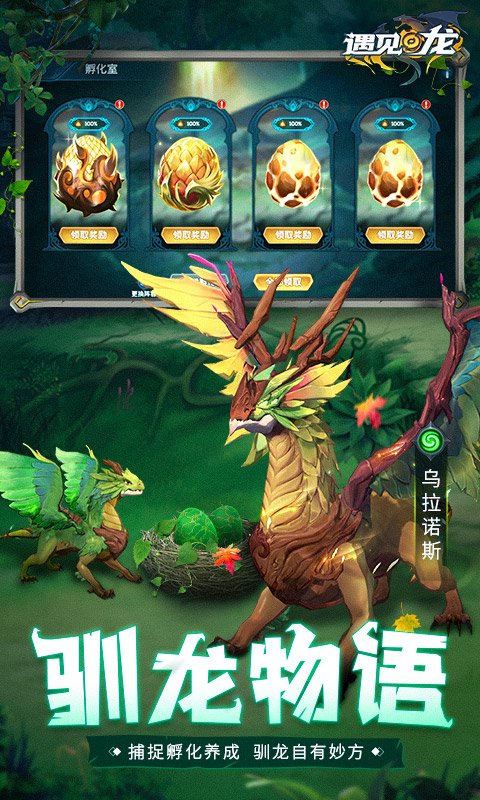 遇見龍(送神龍莉絲)