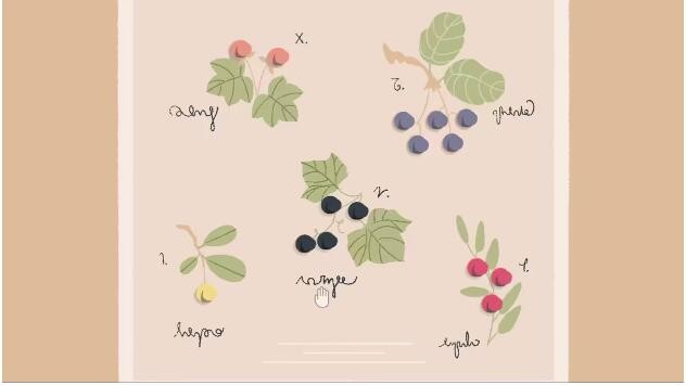 往左一點手游內(nèi)購版