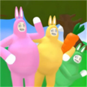 瘋狂超級(jí)兔子人2雙人聯(lián)機(jī)版