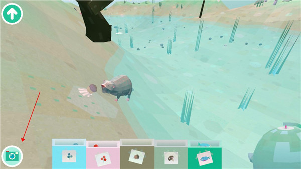 托卡大自然官方中文版