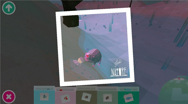 托卡大自然官方中文版