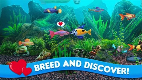 養(yǎng)魚大亨2手機中文版