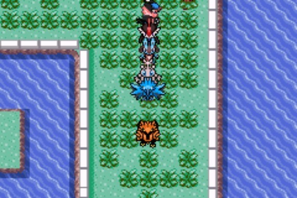 口袋妖怪格查爾手游聯(lián)機(jī)版