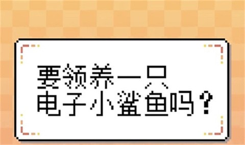 我的小鯊魚正版