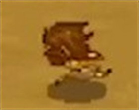 雙刃戰(zhàn)士官方版