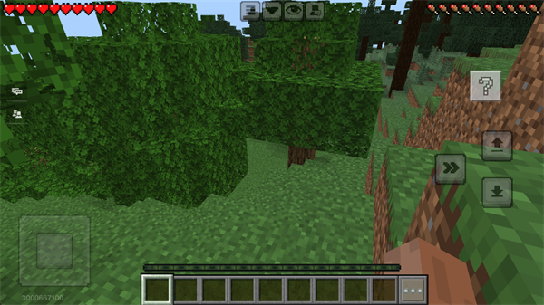 我的世界手機(jī)版