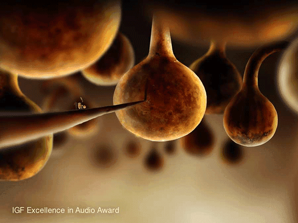 植物精靈Botanicula最新安裝包