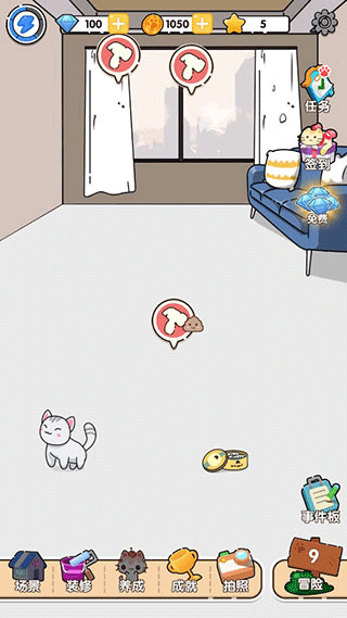 貓咪小舍黃金版