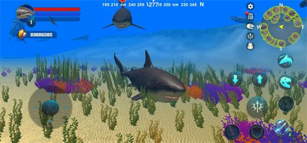 巨齒鯊模擬器(Megalodon Simulator)中文版