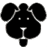 磁力狗引擎最新版