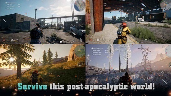 代號PZ（projectz）國際版