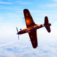 戰(zhàn)地1939無(wú)敵版