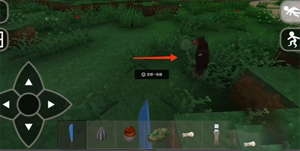 生存戰(zhàn)爭野人島最終版聯(lián)機無敵版