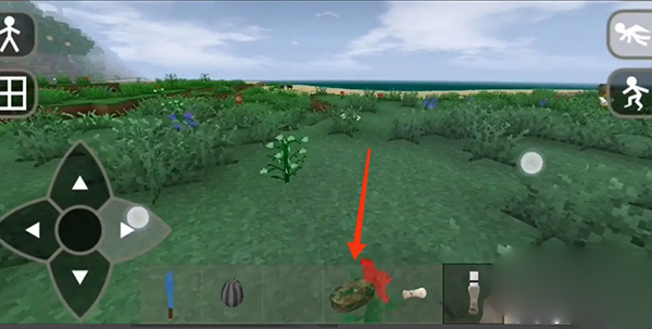 生存戰(zhàn)爭野人島最終版聯(lián)機無敵版